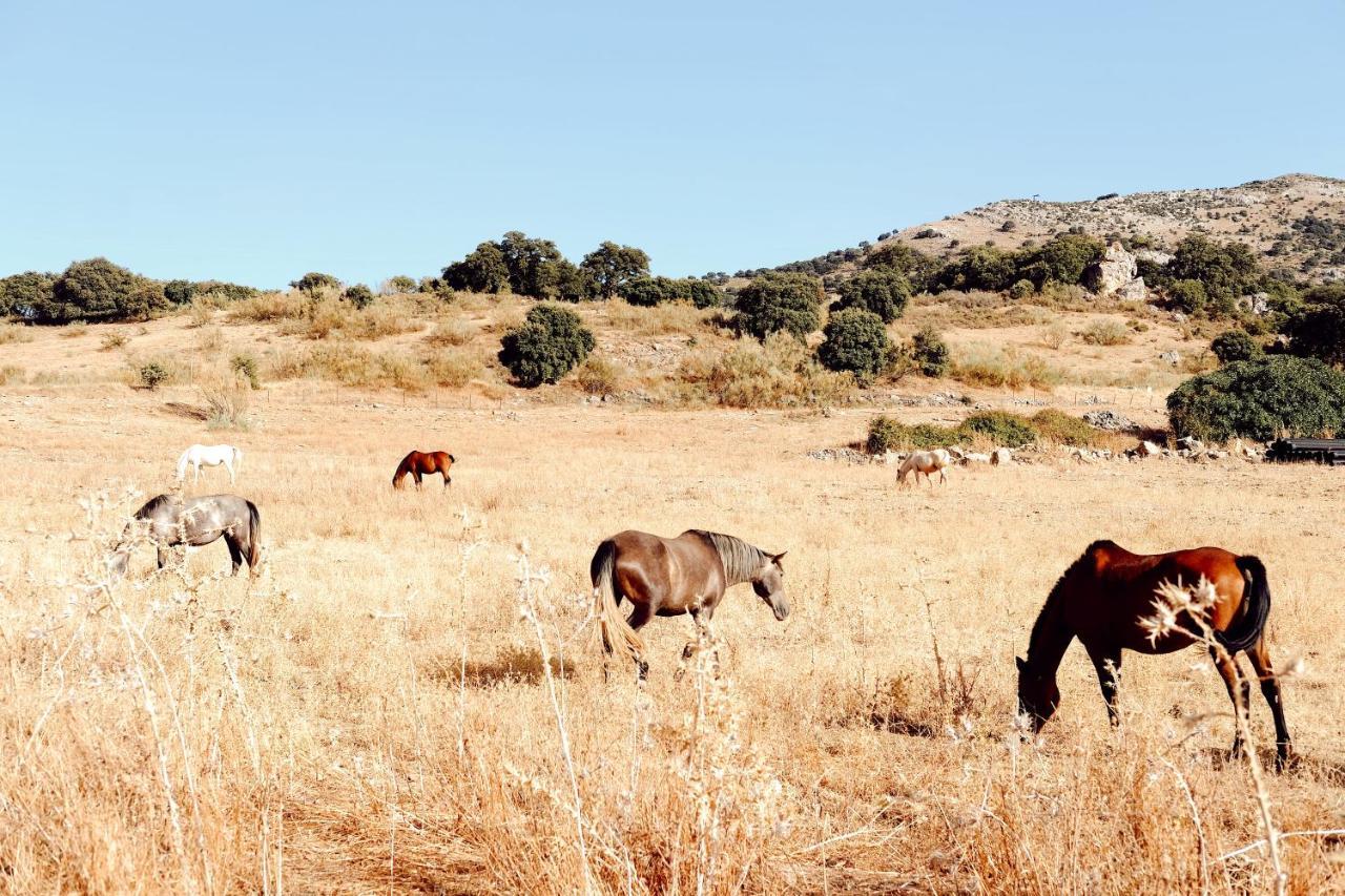Pilares De Boutique & Hotel 4*