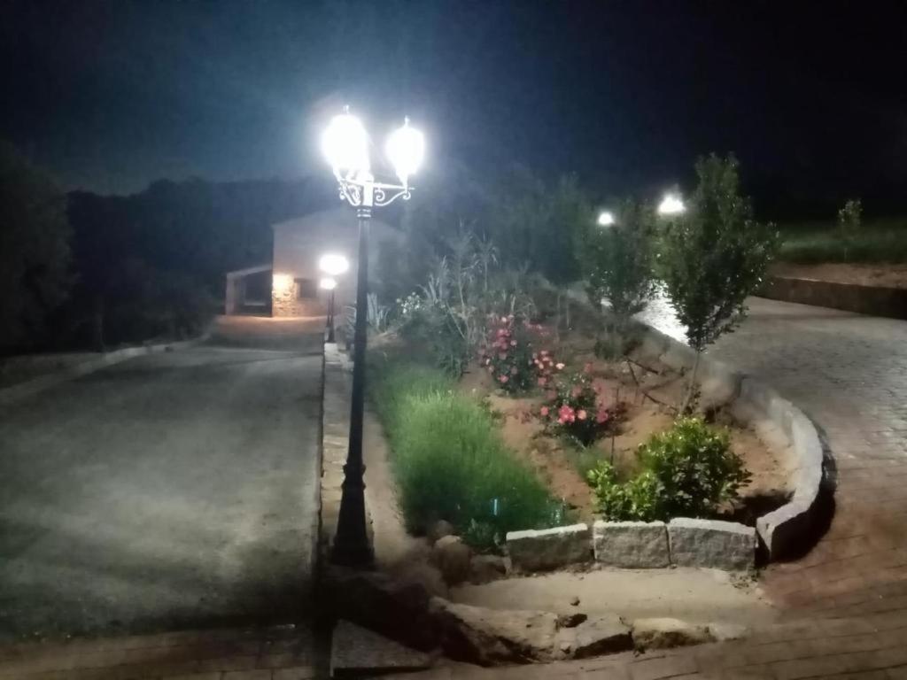 Apartamento Turisticos La Gitanilla