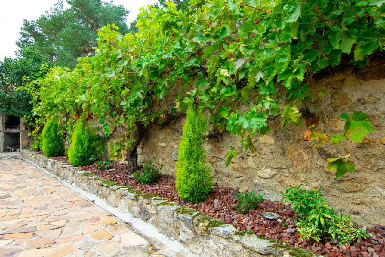 Сasa de vacaciones La Casita De Hortensias
