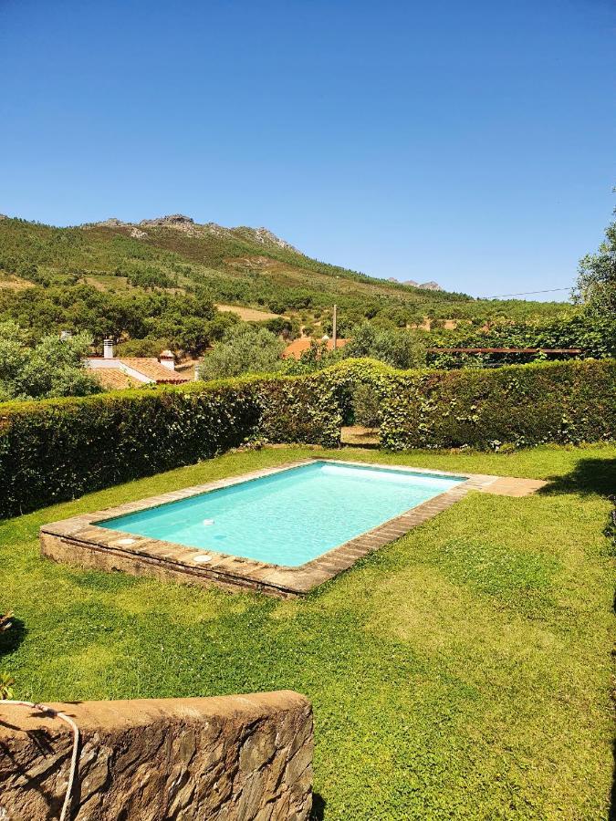 Apartamento Charming In 25 Sqm Private Garden
