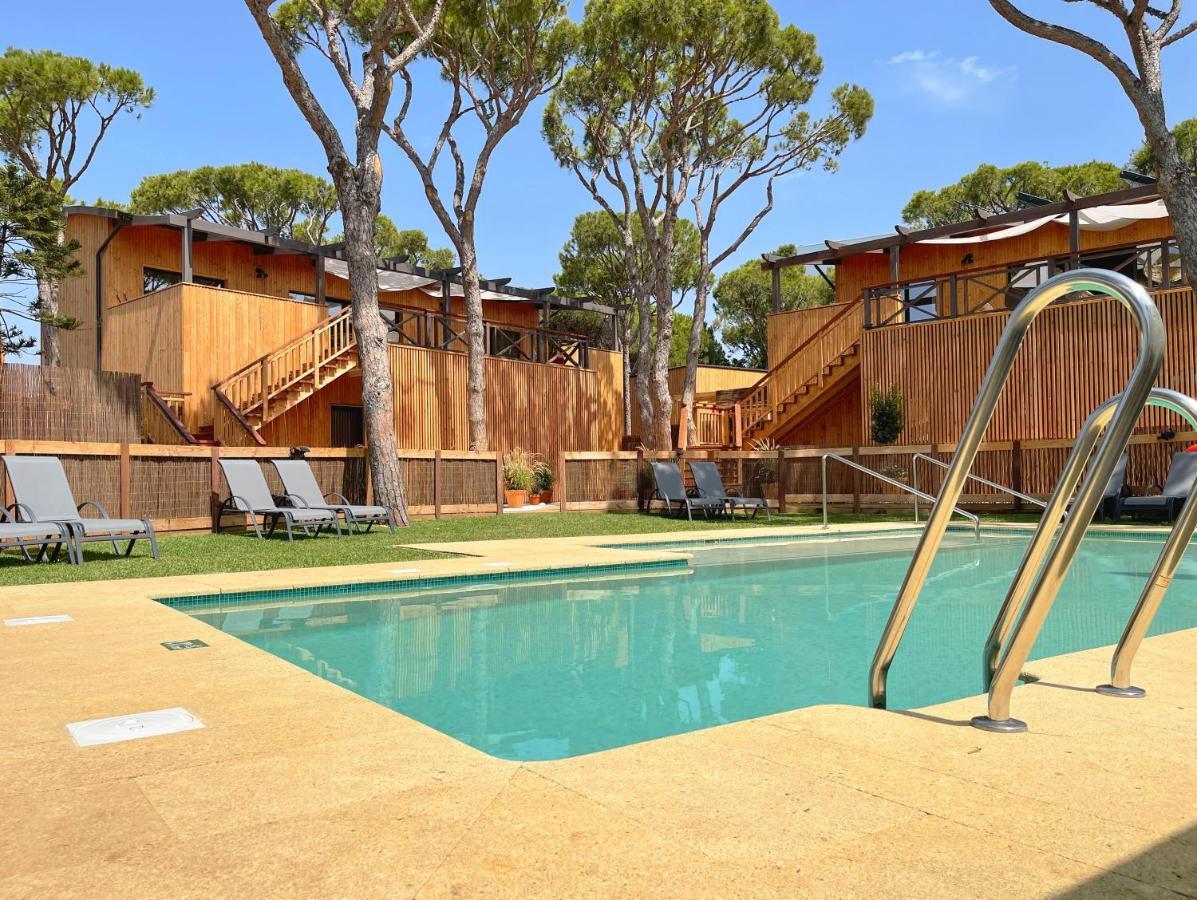Nuevos Biopasivos Living Pura Madera * Chiclana de la Frontera