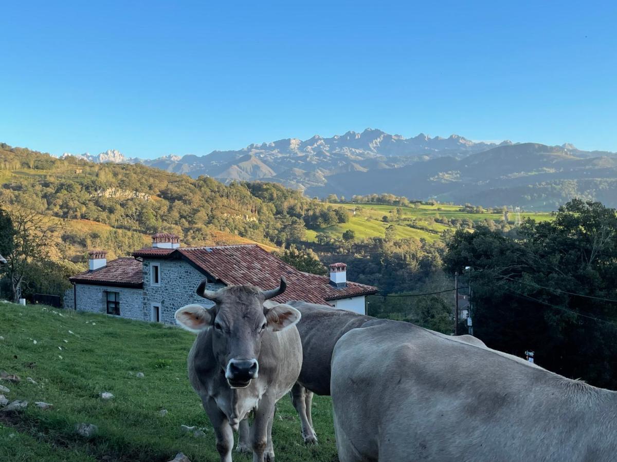Picabel Onís