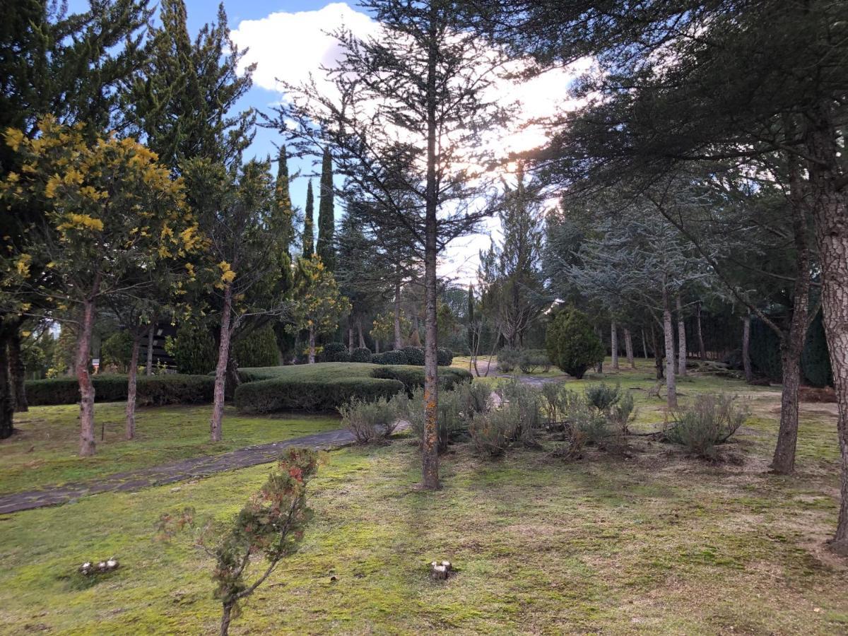 Finca El Sueno Del Duende 