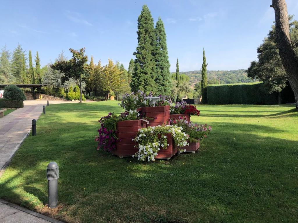 Finca El Sueno Del Duende 