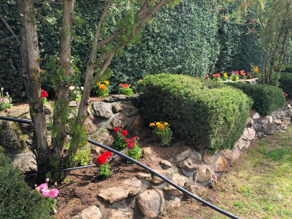 Finca El Sueno Del Duende 