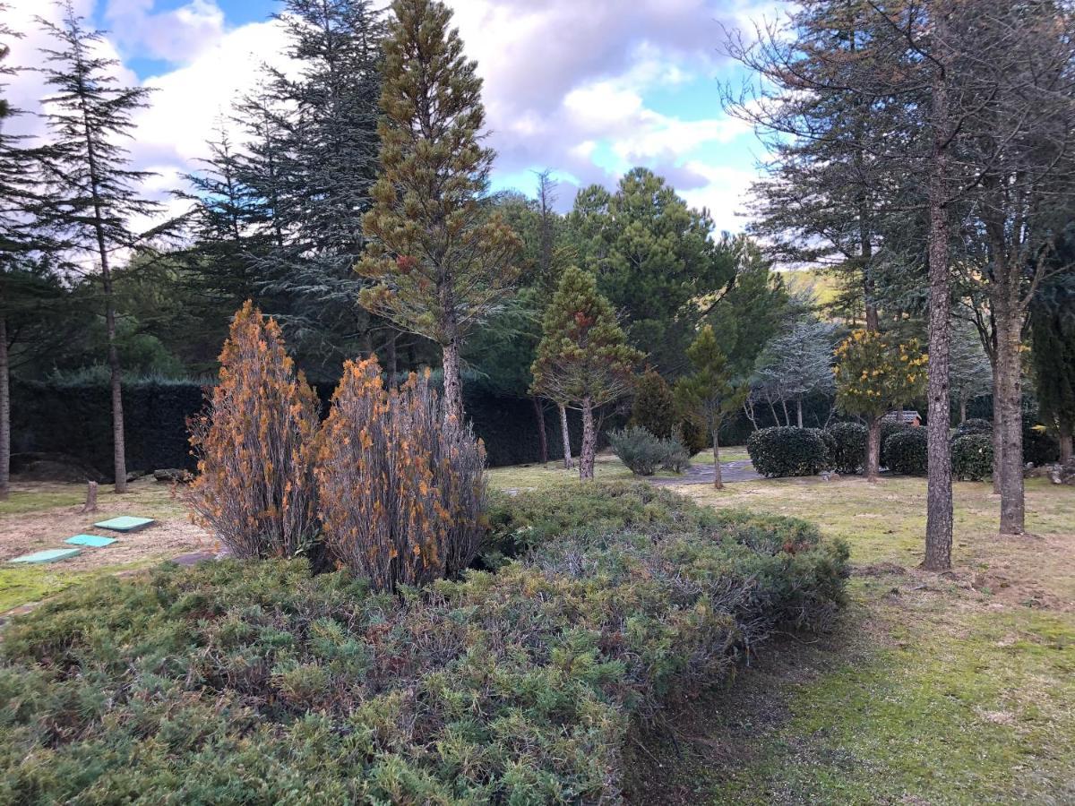 Finca El Sueno Del Duende 