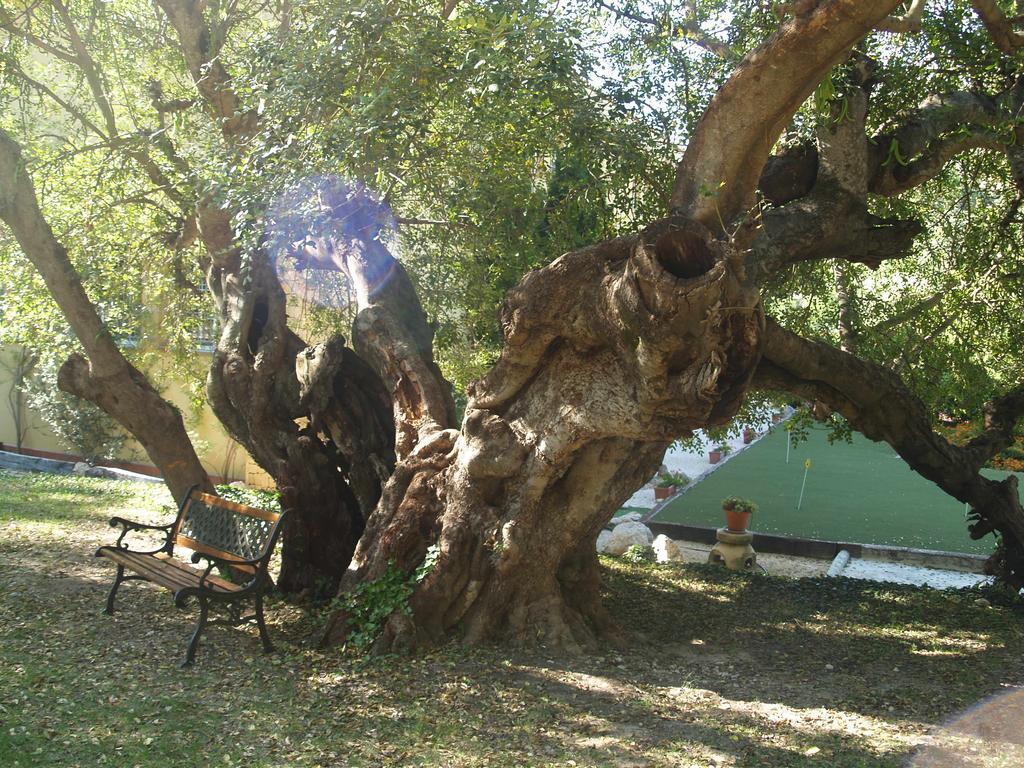 Hotel Lehmi Tarbena