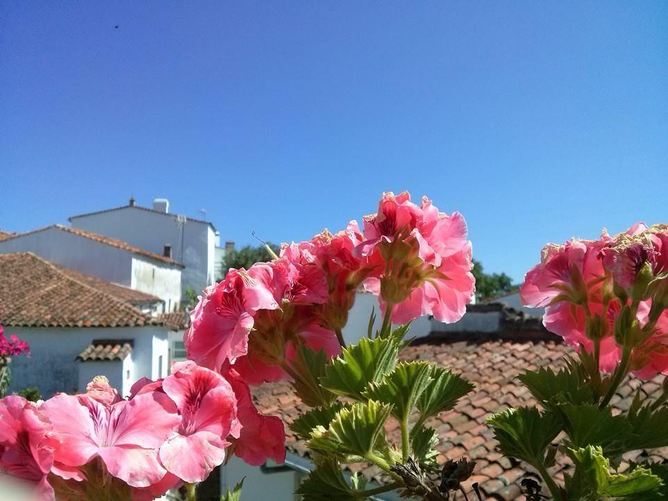 Carballo * Fuenteheridos