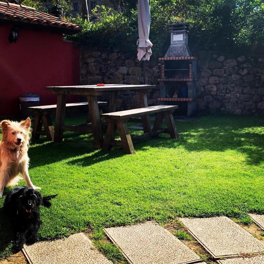 La Quintana De Apartamento Romillo