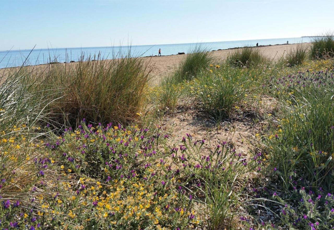 Сasa de vacaciones Jardines De Iii Dénia