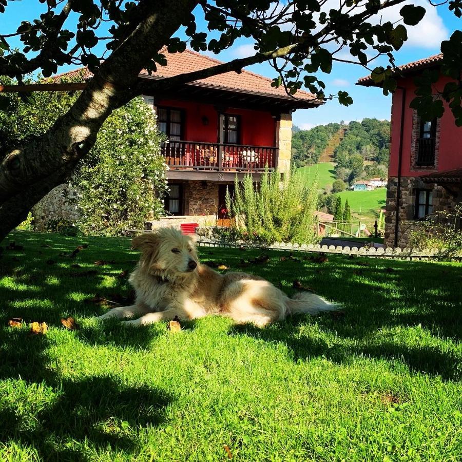 La Quintana De Apartamento Romillo