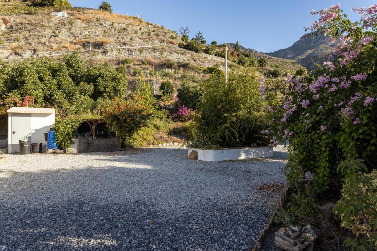 Cortijo Fabrice Del Valle * Jete
