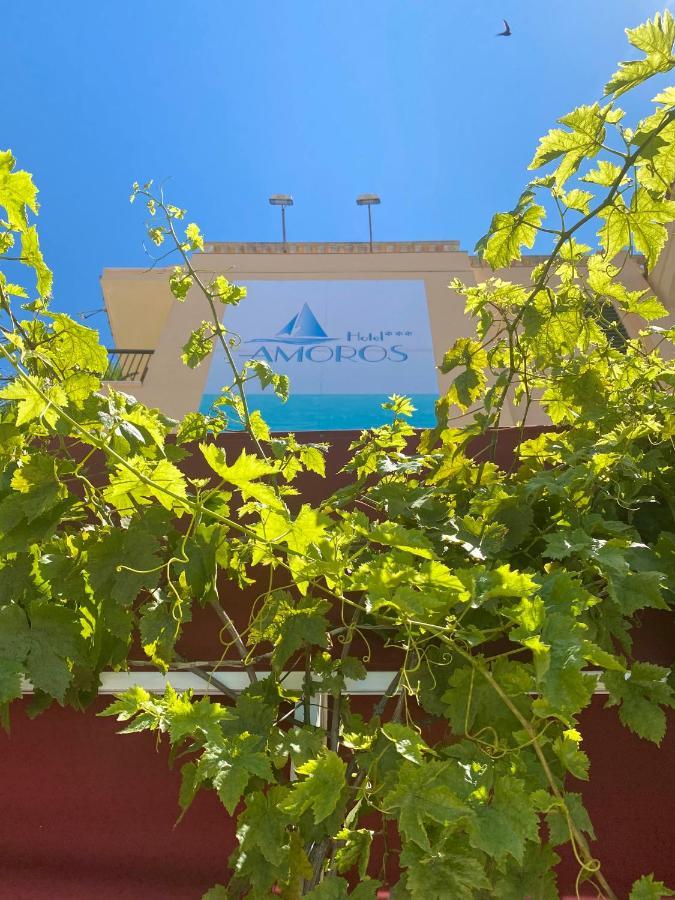 Hotel Amoros