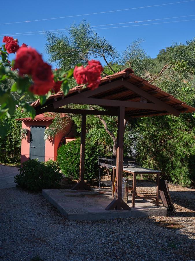 Сasa de vacaciones Basilio Constantina