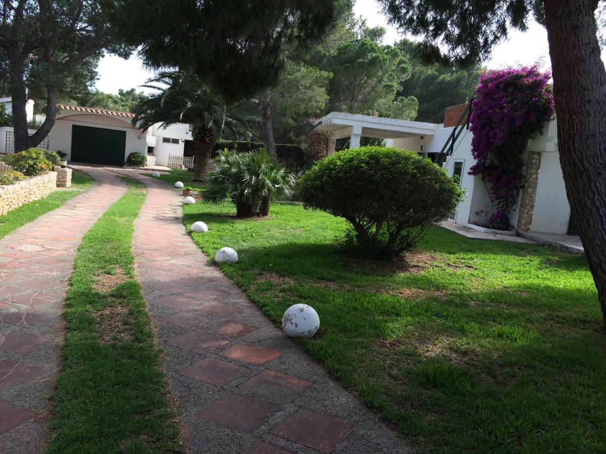 La Mandioca Villa Calafat