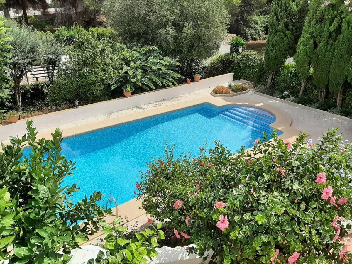 Margarita - A Tranquil Oasis With Large Private Pool Villa *