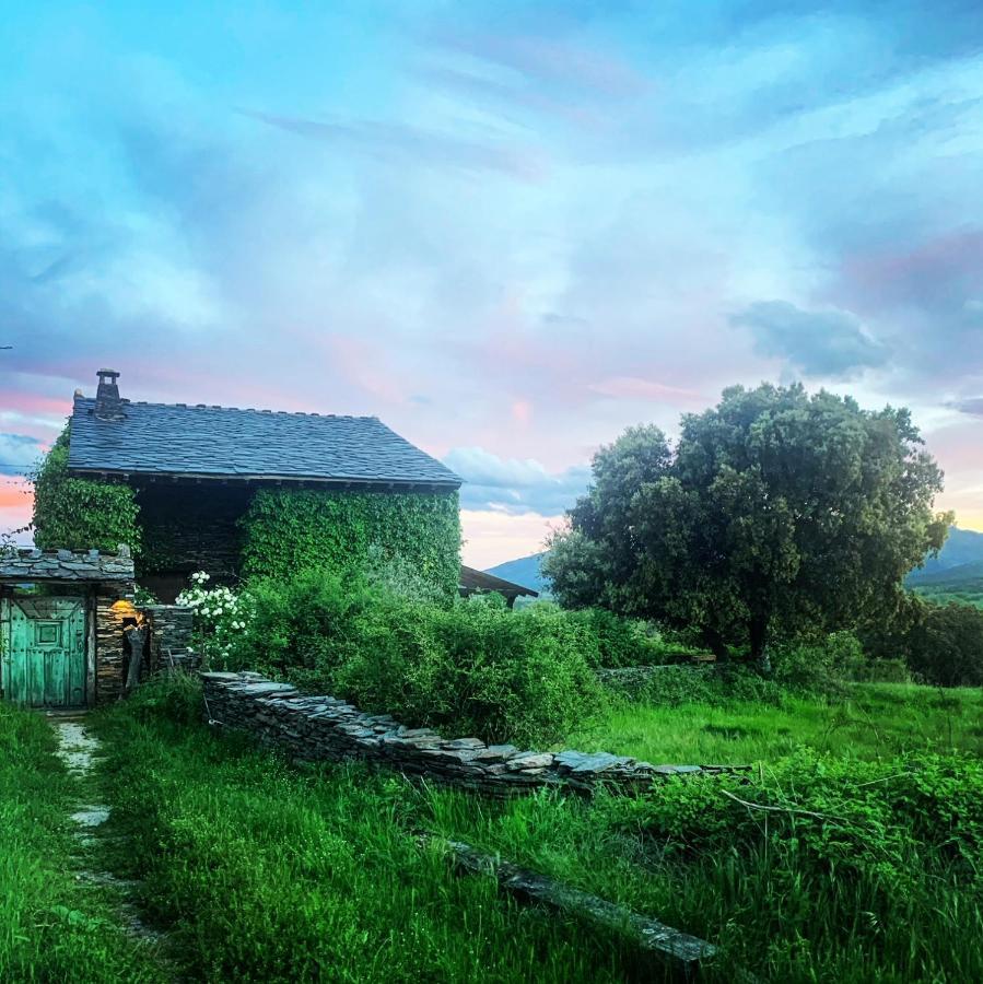 El Cuento De La Encina. Un Espacio Sentir Chalet