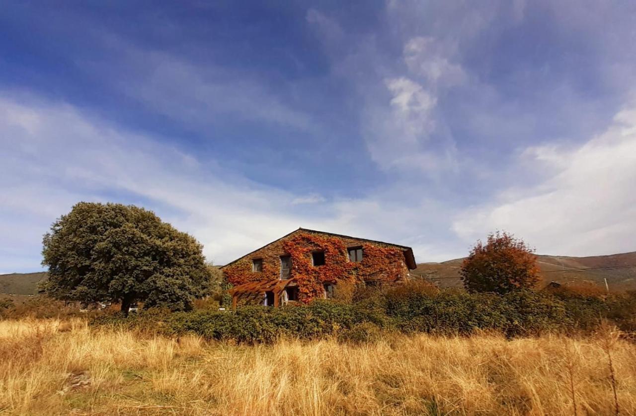 El Cuento De La Encina. Un Espacio Sentir *