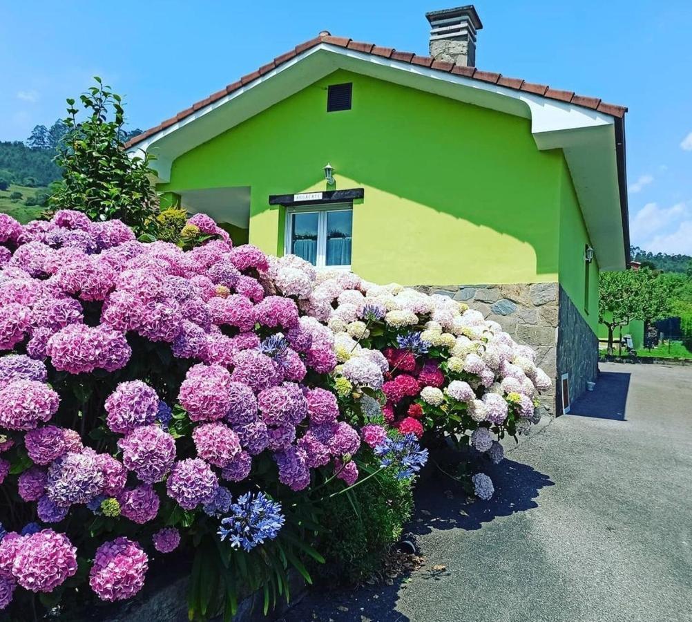 Casina Manzana *