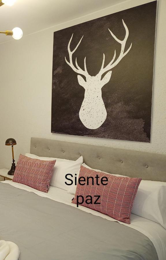 Origen Pelaire Excelente Limpieza Y Ubicacion