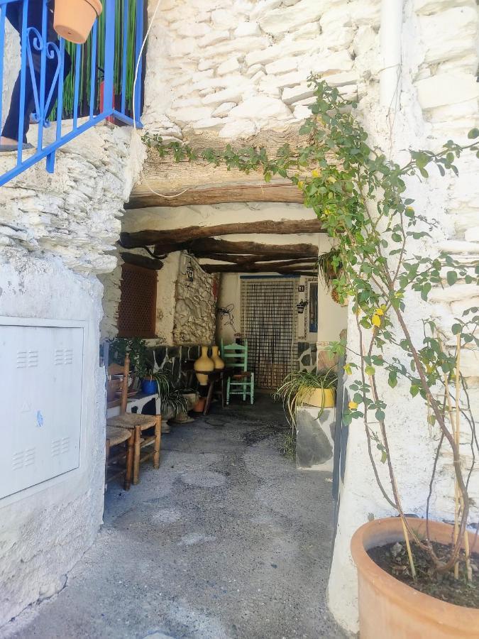 La Maestra Trevelez