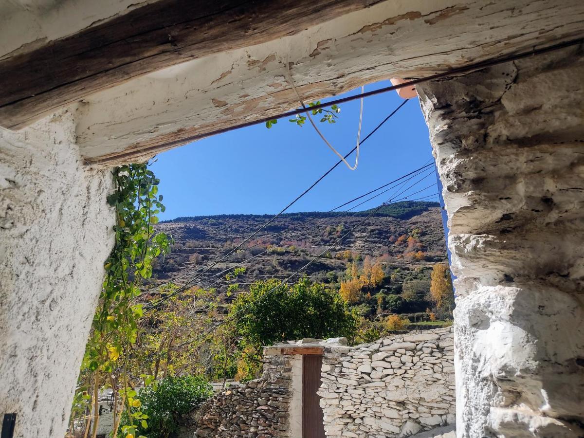 La Maestra Holiday home