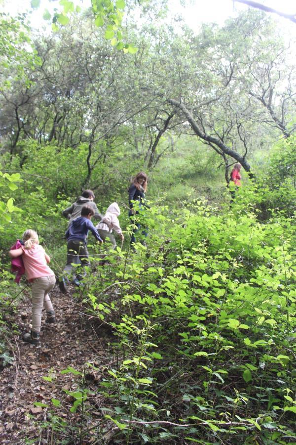 Nature Space Jabugo