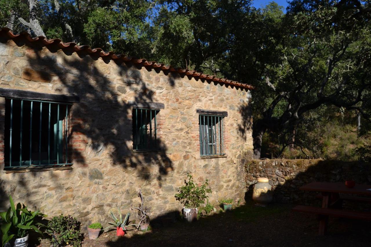 Nature Space Chalet Jabugo