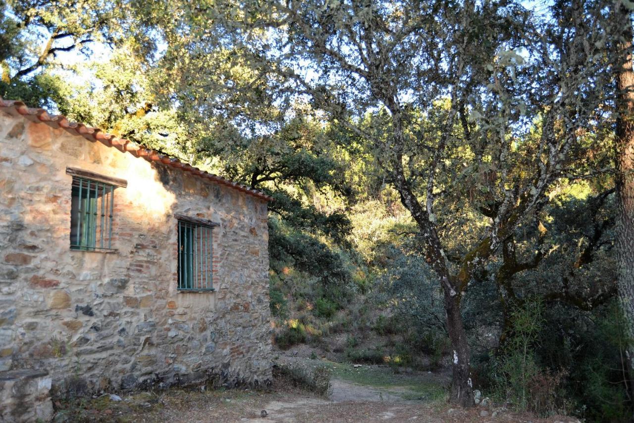 Chalet Nature Space *