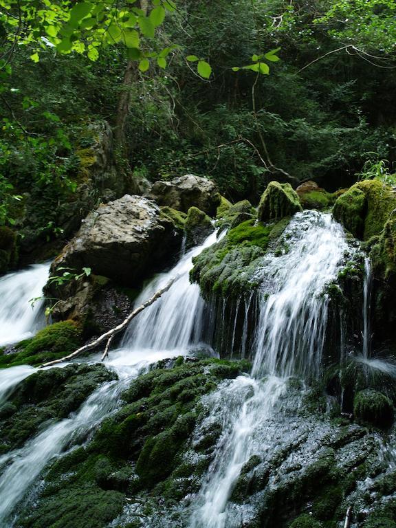Camping Camping El Jabalí Blanco Fiscal