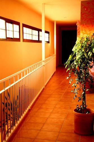 Los Pedregales Guest house 2*