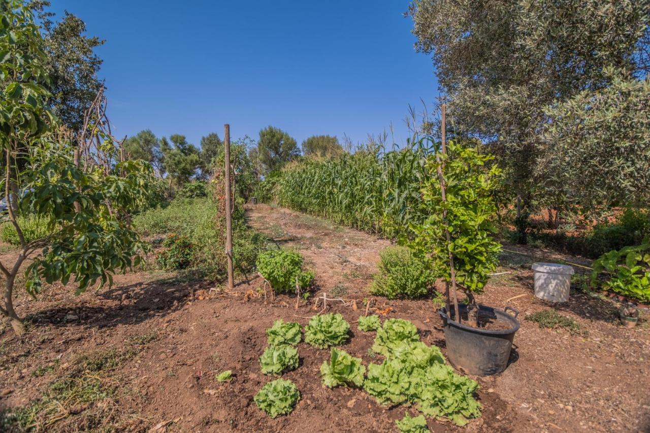Holiday home Llorenc By Mallorca Selection *