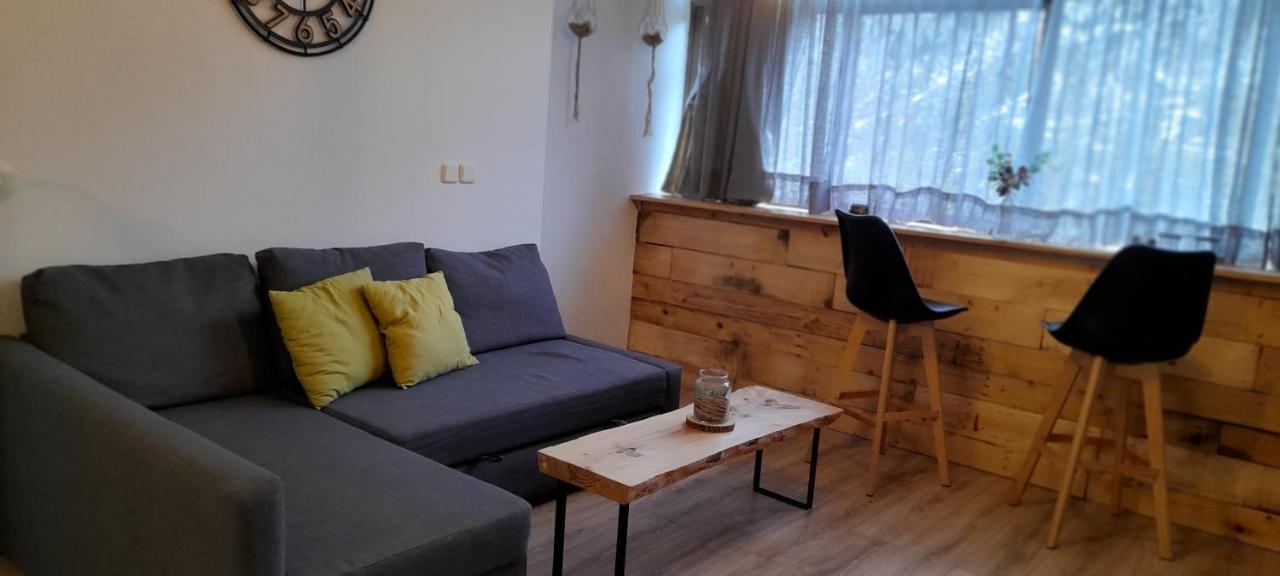 El Sarrio Apartamento Candanchú