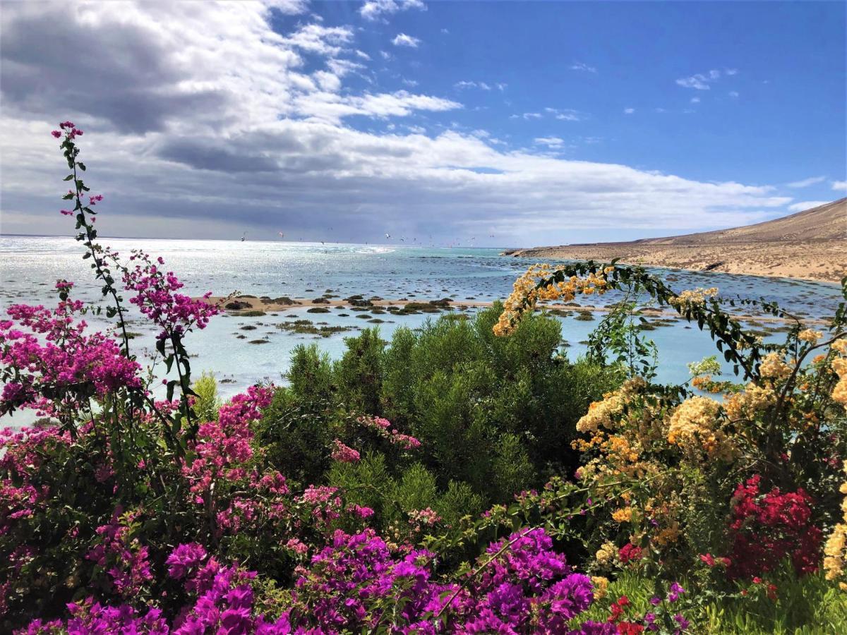 Jardin De * Costa Calma