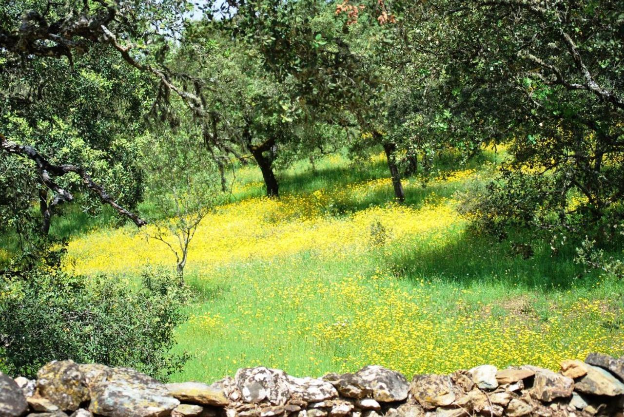 Casa rural El Rural De Peter Aracena