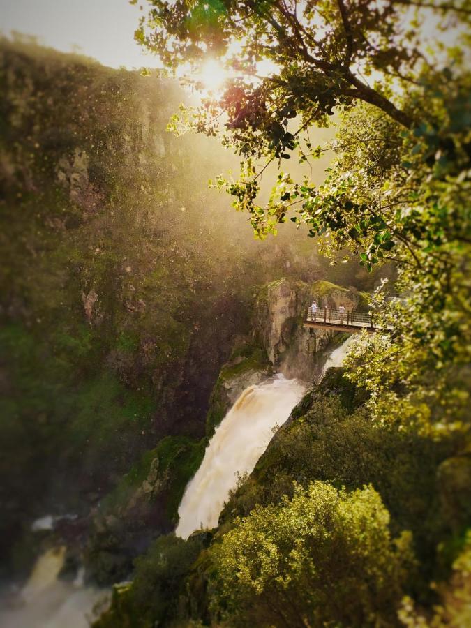 La Alquitara
