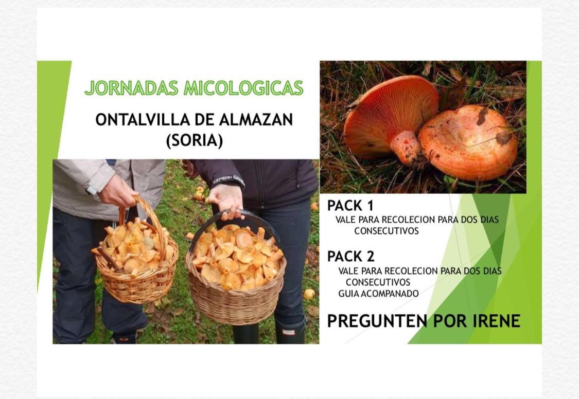 Descanso, Aire Sano Y Buenos Asados *