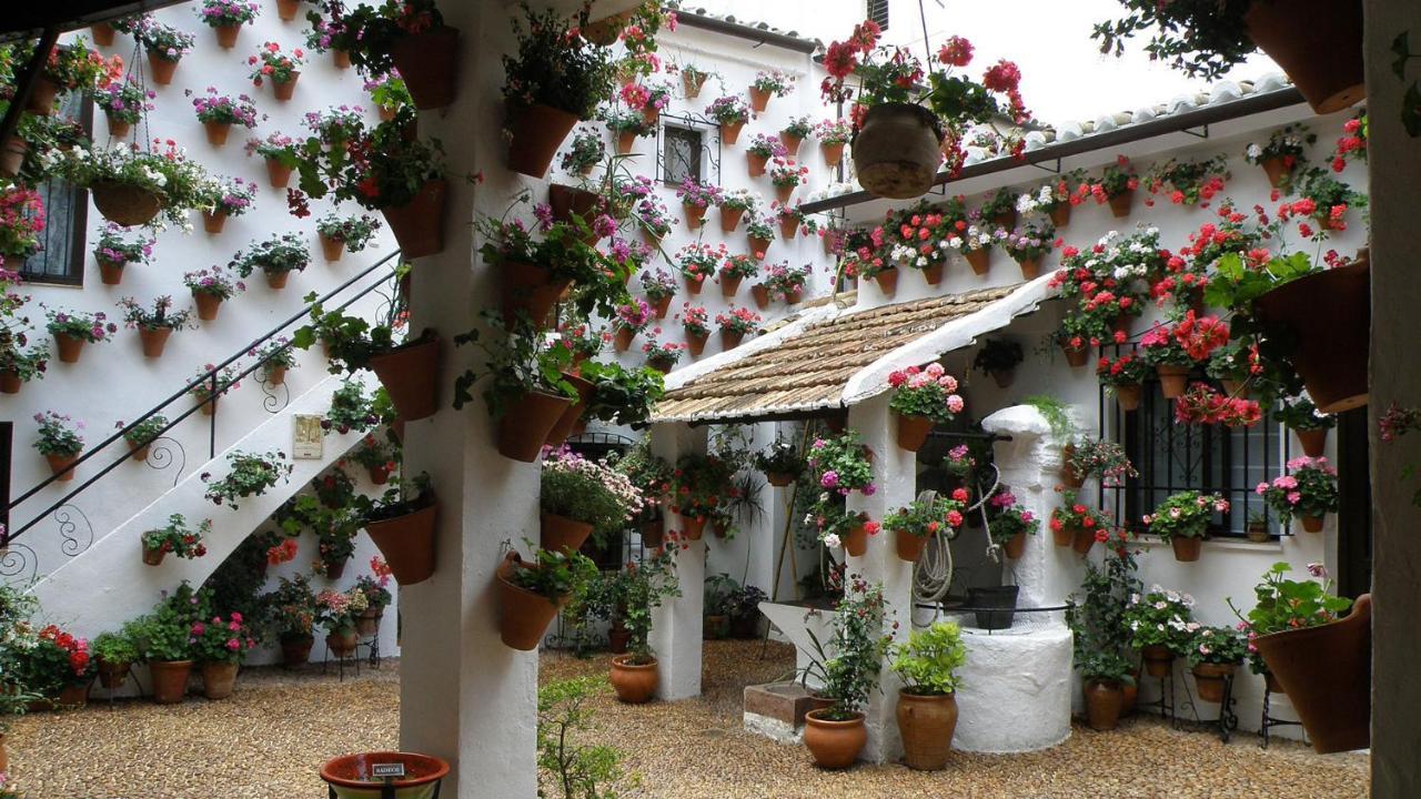 El Juncal Turistico Cabra