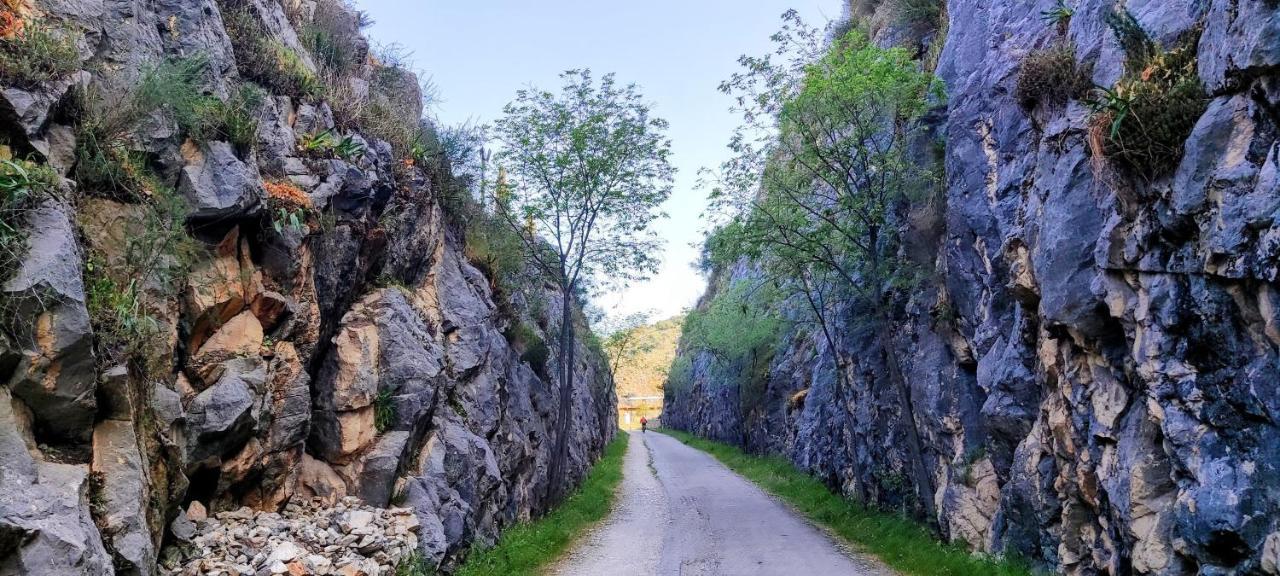 El Juncal Turistico