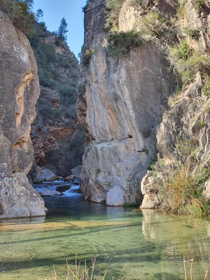 La Dama Azul Rural