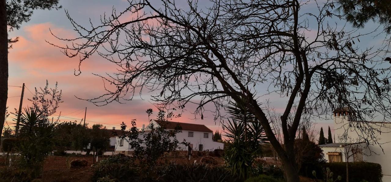 La Casa De Lu