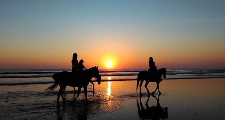 Costa Ballena Las Dunas - Vega Home Vacacional *