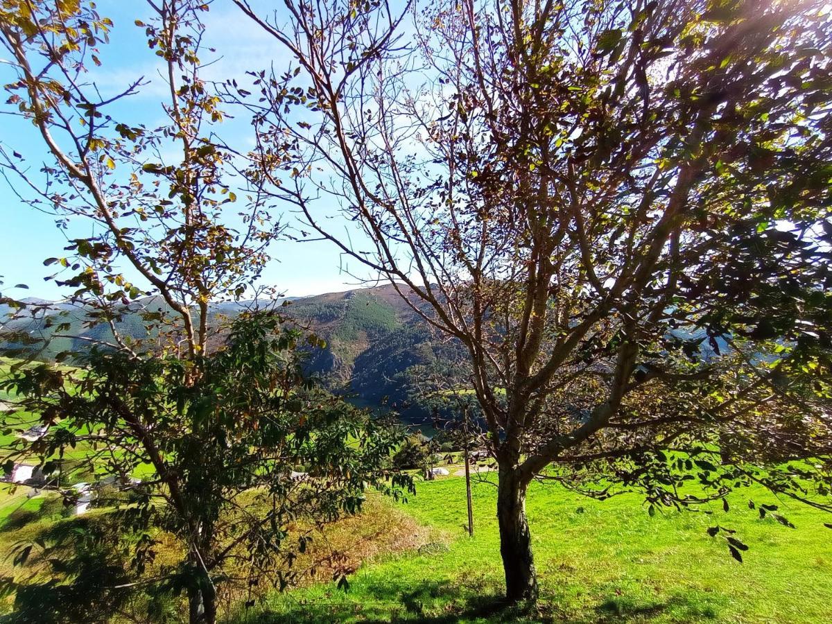Mirador Del Navia Casa rural *