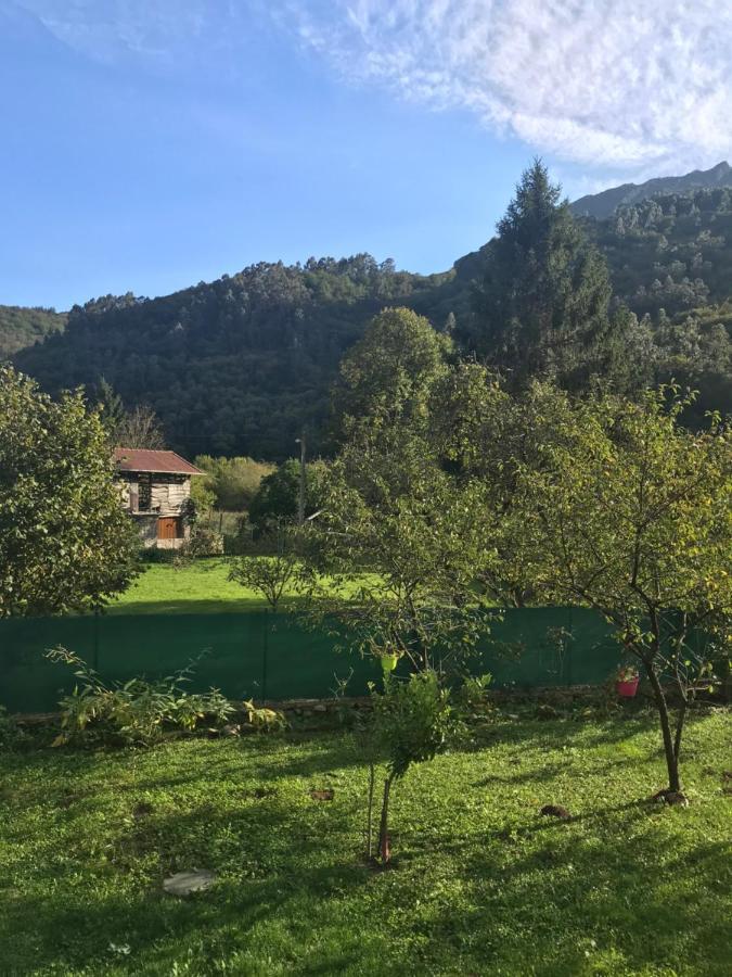 En Asturias A Orillas Del Río Narcea Puerta De Somiedo Сasa de vacaciones Barcena