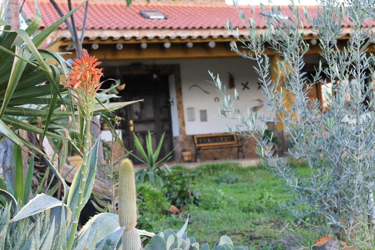 La Coscoja