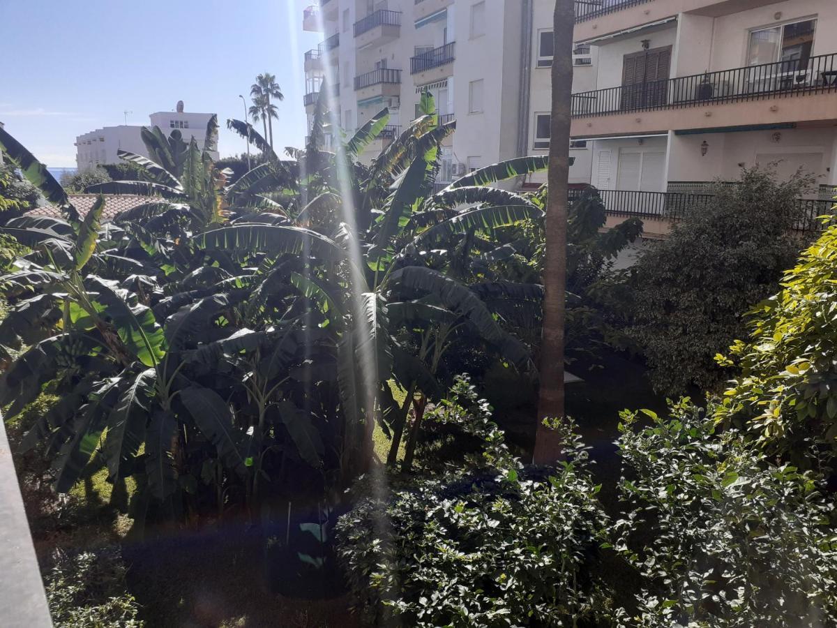 Apartamento Albaida Ii Bajo G