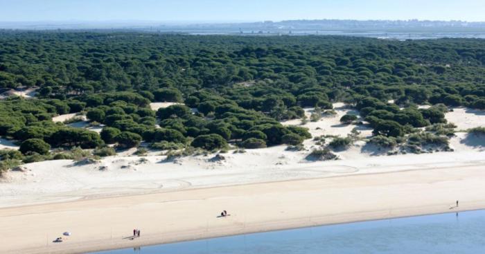 Apartamento Confortable En 6 Personas Apartment
