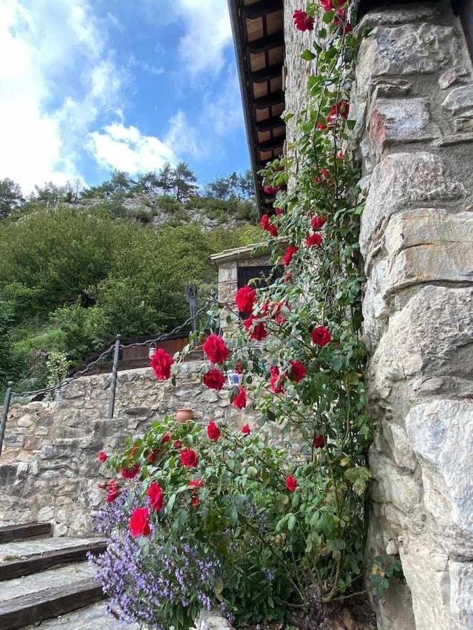 Mas Merolla Casa Descanso Familiar Casa rural