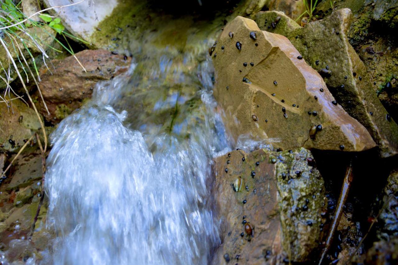 Ecoalbergue Rural De