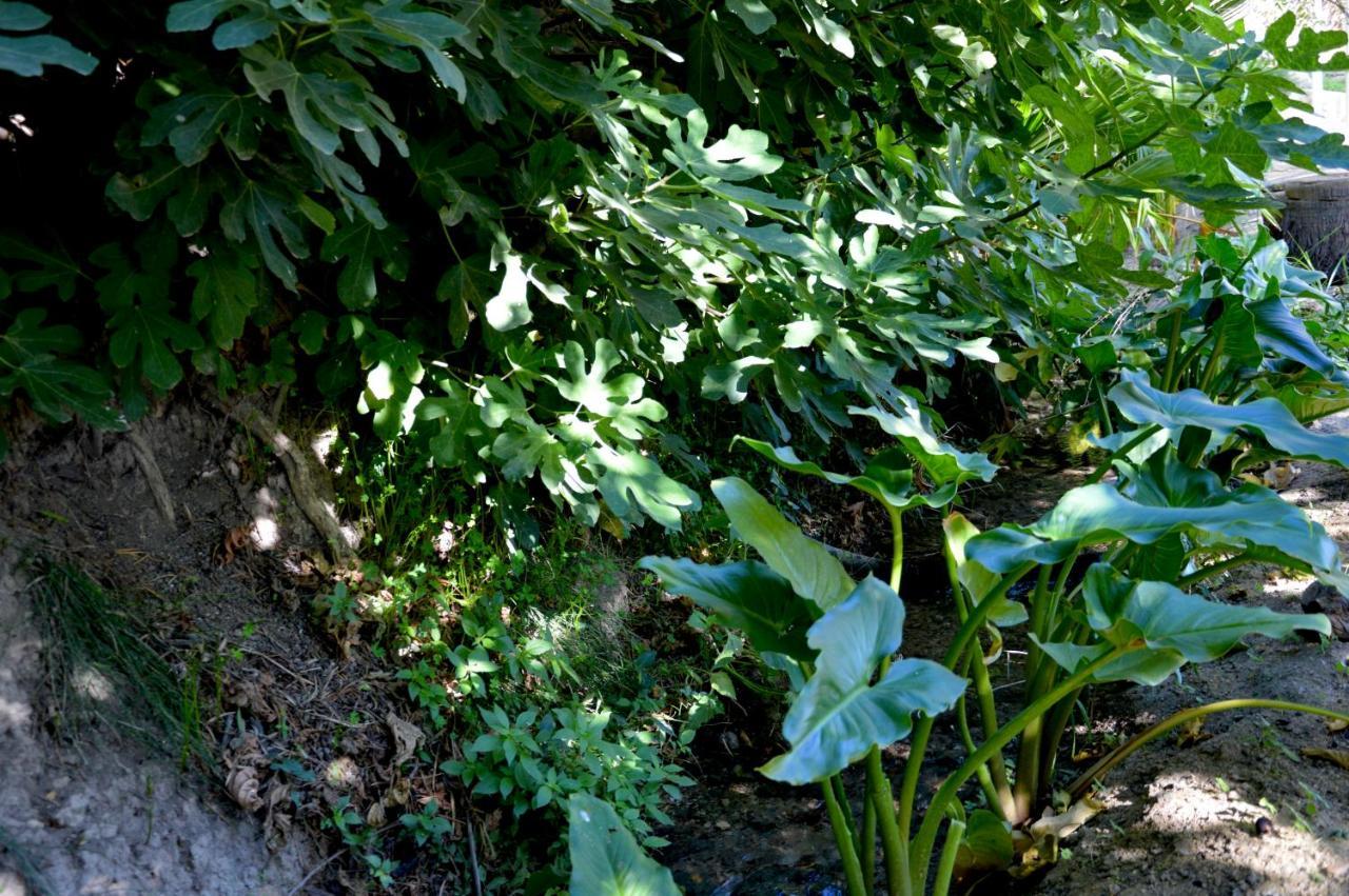 Ecoalbergue Rural De